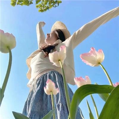 黑叶：机动搜查队女搜查官
